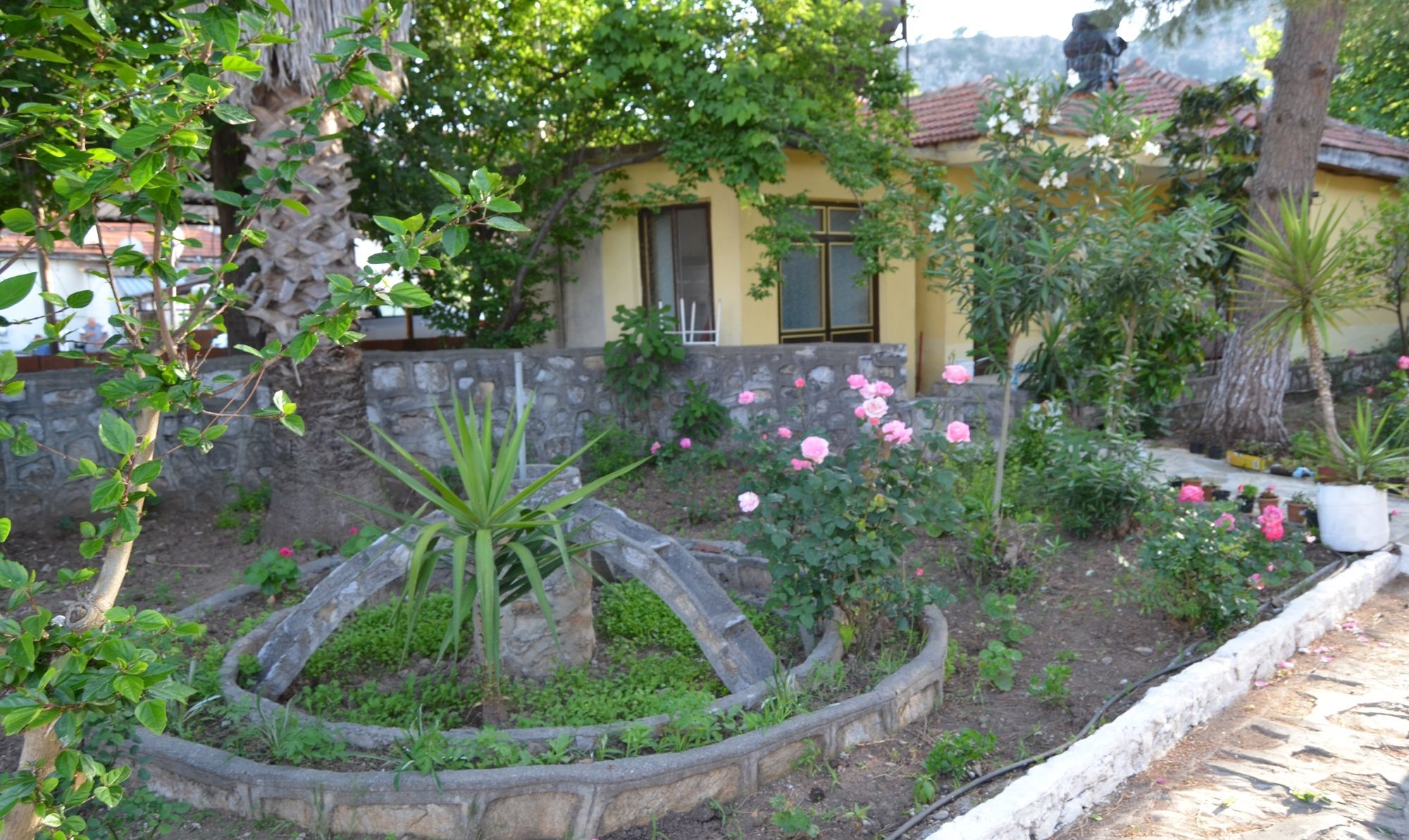 Dalyan Patio Hotel Exterior foto